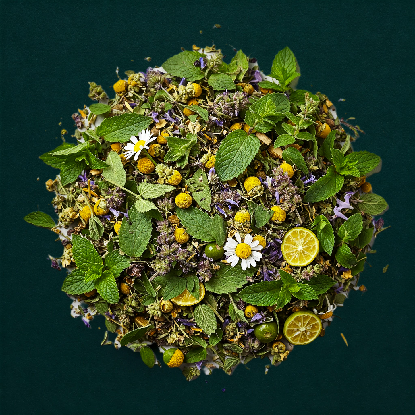 Calme absolu (Menthe)